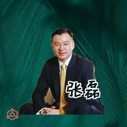 张磊